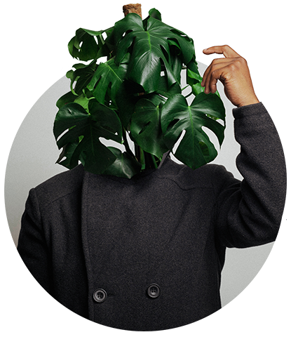 Self portrait of Photographer Dana White with Monstera plant for a head
